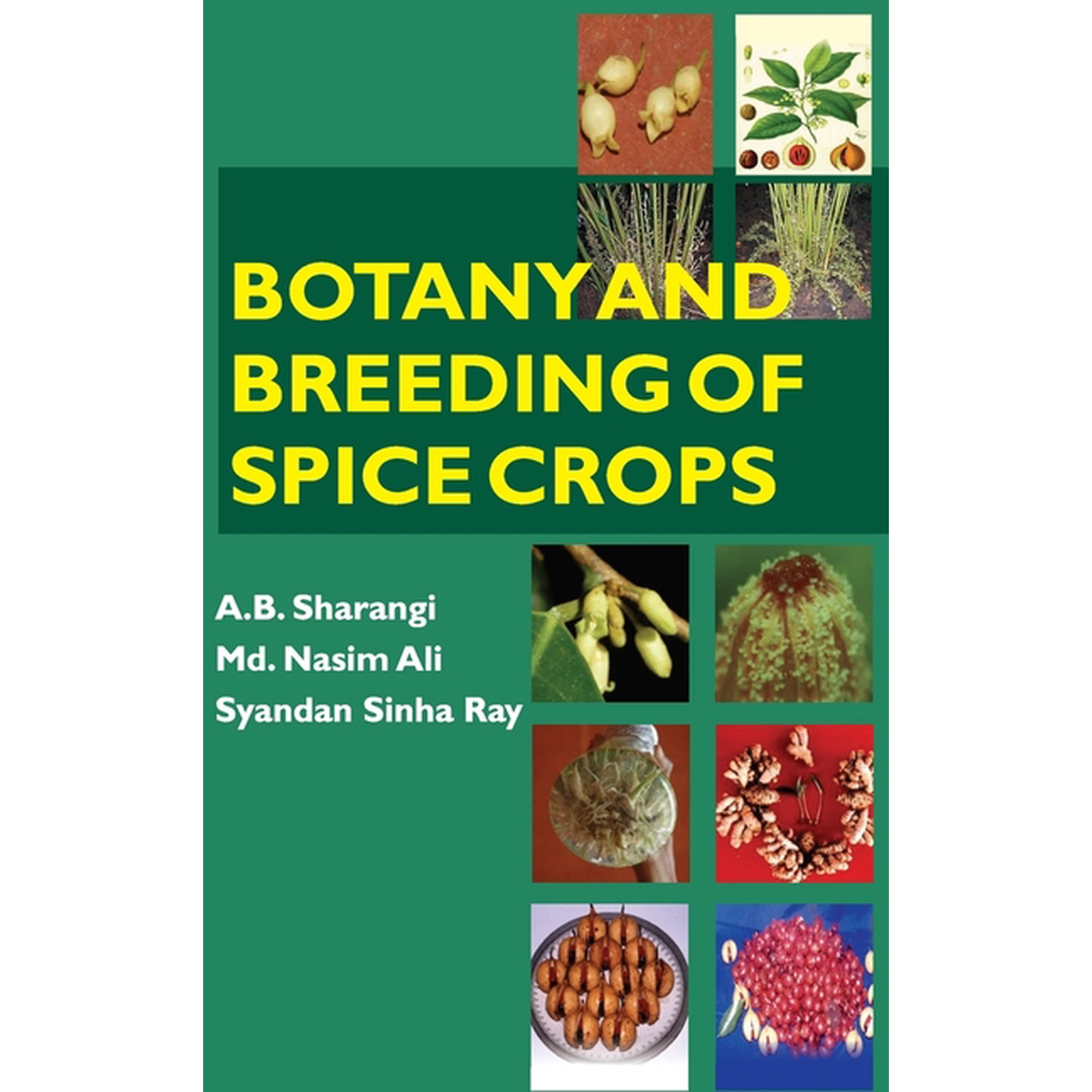 Botany And Breeding Of Spice Crops (Hardcover)