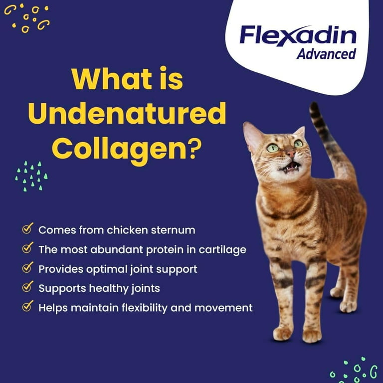 Free Shipping! Vetoquinol Flexadin Advanced joint supplement for