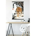 thumbnail image 5 of Alexander The Fat Tiger - Prowling Wall Poster with Magnetic Frame, 22.375" x 34", 5 of 6