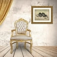 thumbnail image 3 of Butler, John 14x12 Gold Ornate Wood Framed with Double Matting Museum Art Print Titled - Big Cats III, 3 of 4