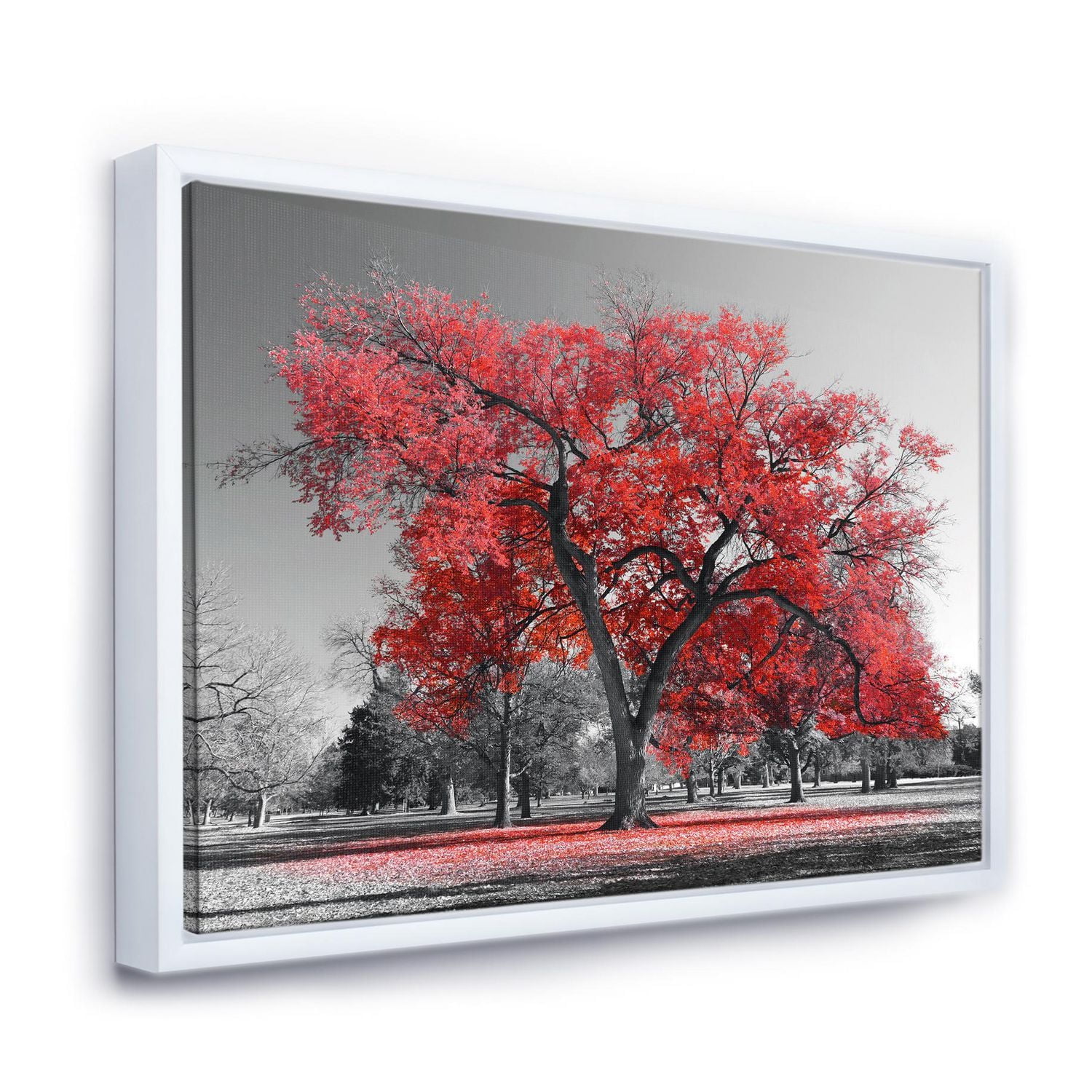 Designart Grand arbre rouge le jour brumeux ART MURAL À CADRE FLOTTÉ