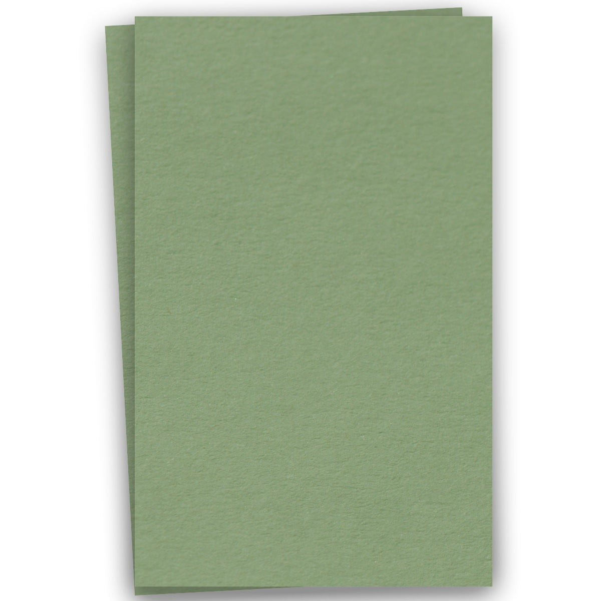 Basics OLIVE 12X18 Paper 80C Cardstock - 100 PK -- Quality 12-x-18 Large size Card Stock Paper ...