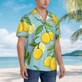 thumbnail image 5 of Easygdp Lemon Men's Hawaiian Shirts Print Lapel Short Sleeve for Beach, vacation, party, casual occasions - Medium, 5 of 9