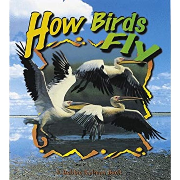 Pre-Owned How Birds Fly (Birds Up Close) (Paperback) 0865057680 9780865057685