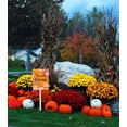 thumbnail image 3 of Eveokoki Fall Harvest Aluminum Thanksgiving Stakes Yard Decorations 17.6''H, Home Garden Patio Lawn Yard Decor Fall Harvest Thanksgiving Outdoor Decorations, 3 of 5