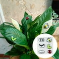 thumbnail image 2 of JANGSLNG 6Pcs Monstera Plant Magnets Eyes Potted Plants Decoration Funny Plant Safe Magnet Pins Charms House Plant Accessories for Plant Lovers, 2 of 7