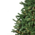 thumbnail image 3 of Northlight Pre-Lit Two-Tone Canadian Pine Artificial Christmas Tree - 12' - Warm White Lights, 3 of 5