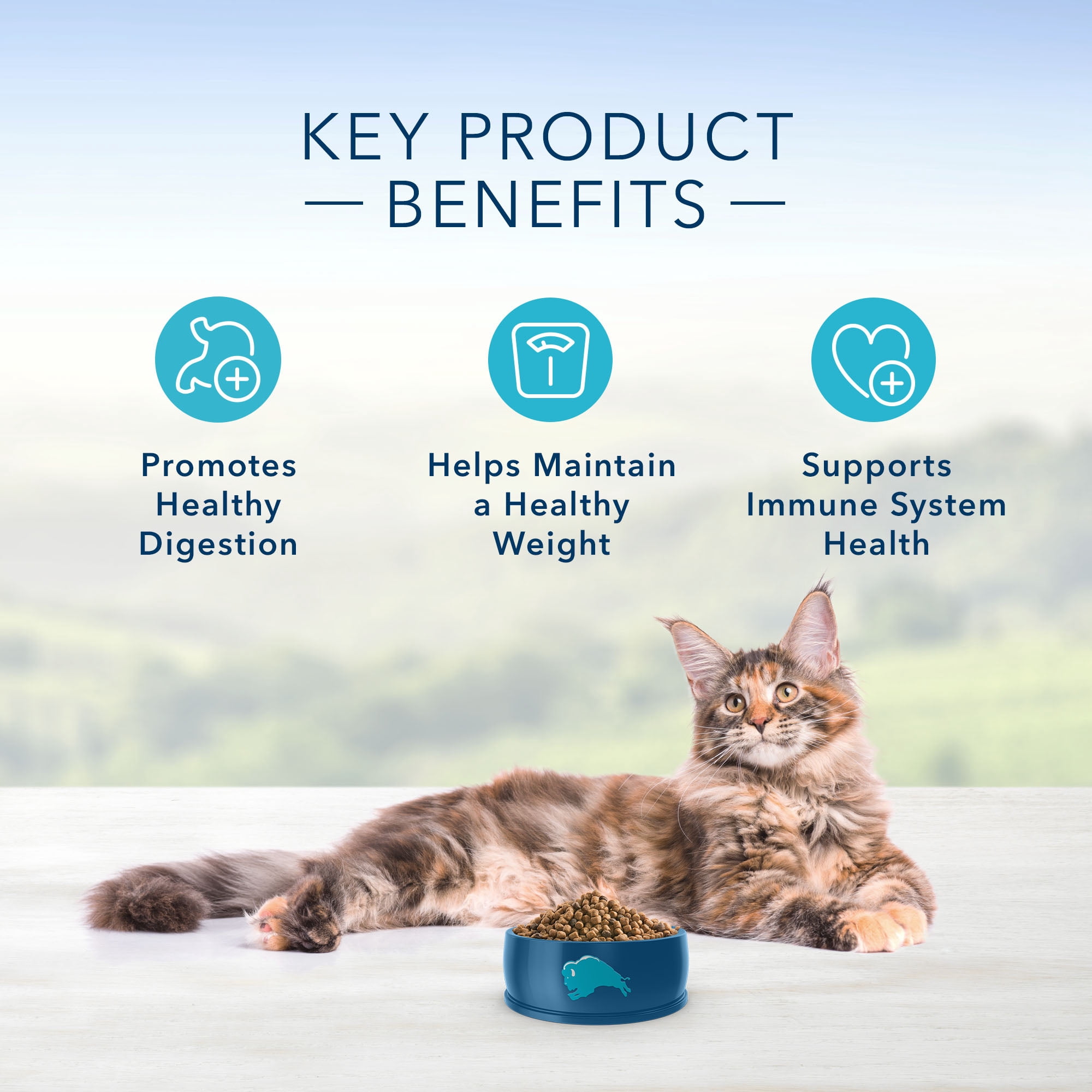 Blue Buffalo Indoor Health Chicken and Brown Rice Dry Cat Food for Adult Cats, Whole Grain, 2 lb. Bag