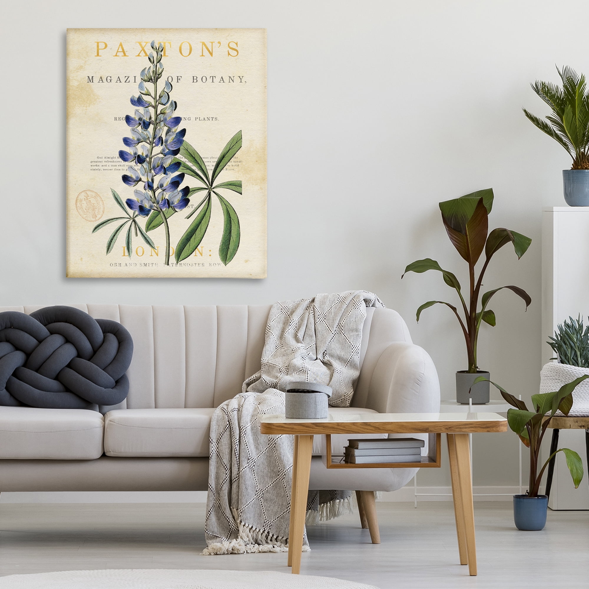 Stupell Industries Natural Botany Lupine Canvas Wall Art, design by Susan Arnot