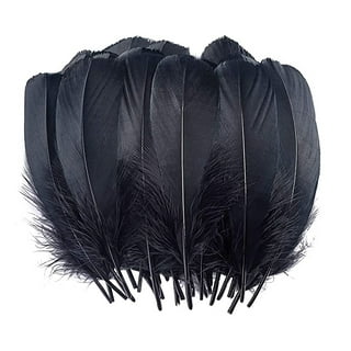 Bright Craft Feathers 5g