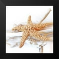 thumbnail image 2 of Kimberly, Allen 12x12 Black Modern Framed Museum Art Print Titled - Starfish Beach 5 v2, 2 of 5
