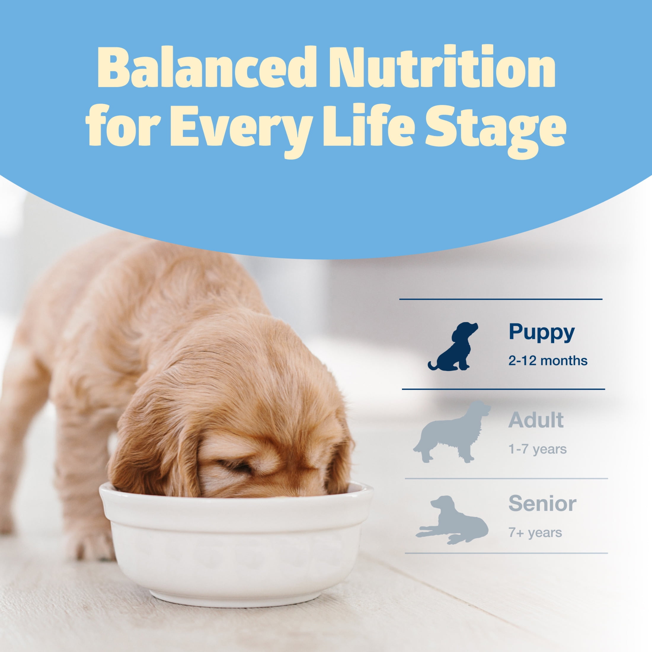 Blue Buffalo Freedom Grain-Free Puppy Dry Dog Food With DHA, Chicken & Potatoes, 4-lb. Bag