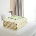 thumbnail image 2 of XGFHYJEH Bed Quilt, Twin Bed Quilt, Quilt for Bed, Summer Bed Quilt, Lightweight Bed Quilt, Summer Cooling Quilt, Small Quilt Bedding Blanket for Spring Summer Autumn, cotton, 2 of 5