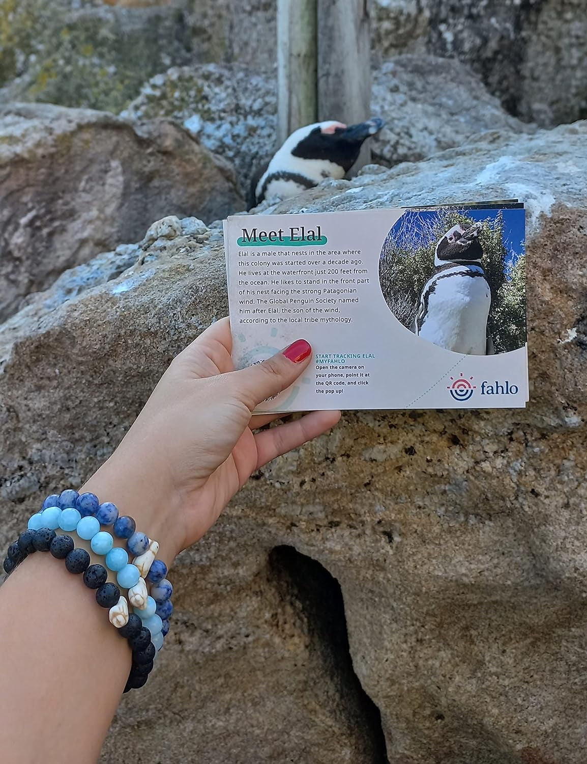 Fahlo Passage Penguin Tracking Bracelet - Sky Stone
