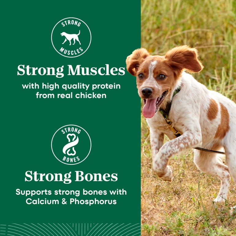 best wellness dog food for allergies Wellness Salmon Flavored Soft Chew Immune & Allergy Supplements for Dogs 45 Count main image 0