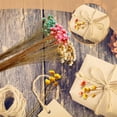 thumbnail image 5 of NOGIS 200 Stems Dried Flowers Brazilian Small Star Daisy Decorative Dried Flowers Colorful Natural Dry Flower Bouquet Mini Flower Bouquet Daisy Chamomile Flowers for DIY Home Wedding（Orange）, 5 of 7