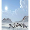 thumbnail image 3 of Ambesonne Blue White Duvet Cover Sets, Snowy Day Wild Horse, 2-King, Blue White, 3 of 7