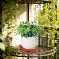 thumbnail image 5 of Cheapark Plant Pot Feet Risers Ventilated Stand Gardening Supply Anti Root Rot Base Home Daily Patio Plant Accessory, 5 of 6