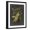 Black Frame, variant on Art.com Midnight Botanical II Art Print by Vision Studio, 12" x 16"