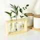 thumbnail image 2 of Tubo de ensayo Jardinera Estación de propagación de plantas Envase de vidrio Tubo de ensayo con estante de madera para propagar plantas hidropónicas Decoración de la oficina en el hogar Zhivalor Macetas, 2 of 4