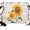 Yellow, variant on Sunflower Backdrop for Photography,Fabric Photo Background Backdrop,Yellow Summer Flowers Bee Botanical Wooden Photo Booth Background for Portrait Photoshoot Video Wedding Studio Decor Banner 10x8ft