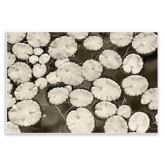 Stupell Industries White Floating Lily Pads Landscape & Nature Painting Unframed Art Print Wall Art, 15 x 10