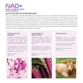 thumbnail image 4 of Essentials: NAD+ NR Complex, Nicotinamida Ribósida + Calostro + Trans-Pterostilbeno, 200 Cápsulas, 4 of 9