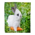 thumbnail image 1 of KDAGR Throw Blanket Warm Cozy Print Flannel Gray Bunny Funny Baby White Rabbit Carrot in Grass Green Pet Comfortable Soft for Bed Sofa and Couch 58x80 Inches, 1 of 1