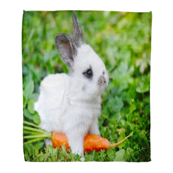 KDAGR Throw Blanket Warm Cozy Print Flannel Gray Bunny Funny Baby White Rabbit Carrot in Grass Green Pet Comfortable Soft for Bed Sofa and Couch 58x80 Inches