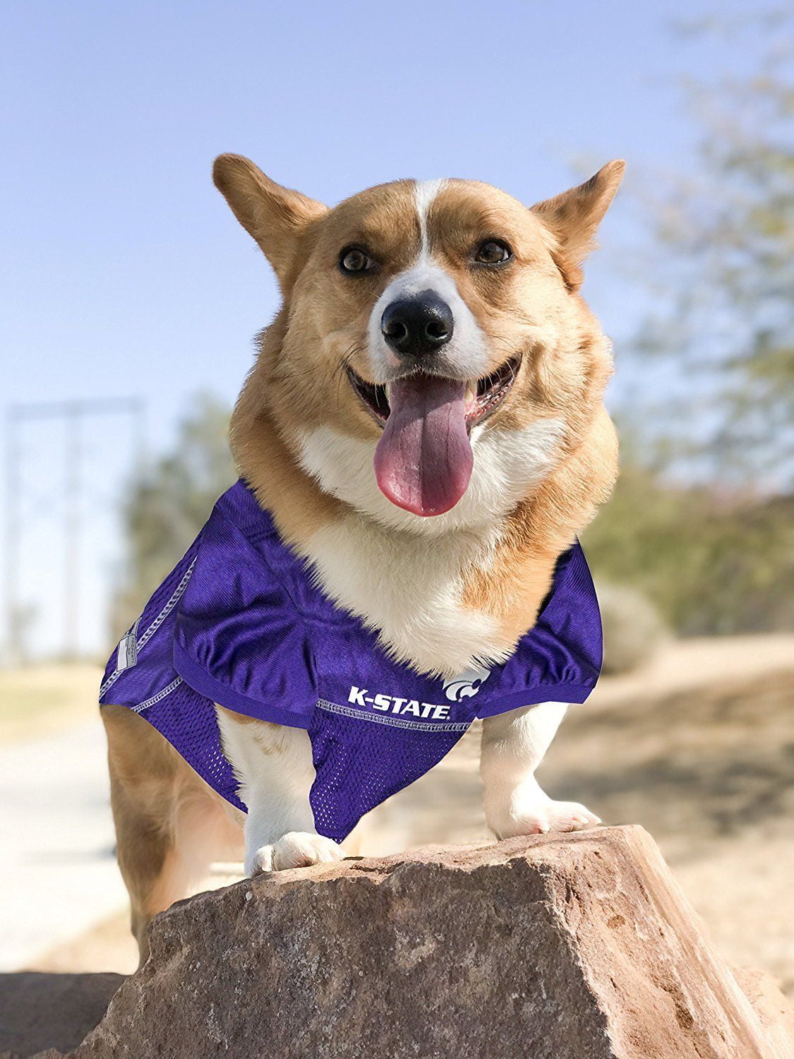 Pets First Collegiate Kansas State Wildcats Football/Basketball Mesh Jersey for Pet Dog. available in 40+ Teams - Extra Small
