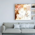 thumbnail image 3 of Trademark Fine Art 'Blush & Umber I' Canvas Art by Victoria Borges, 3 of 3