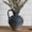 Black, variant on Black Rustic Terracotta Vase with Handle,8.8 Inch Vintage Ceramic Flower Vase for Home and Entryway Decor