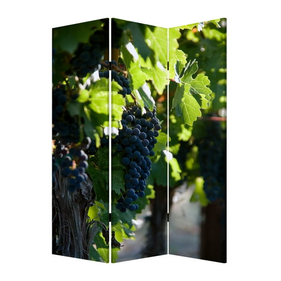 Screen Gems WINE COUNTRY SCREEN SG-151