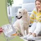 thumbnail image 5 of Cat Water Fountain Filter 6Pcs Activated Carbon Fountain Filter, 5 of 5