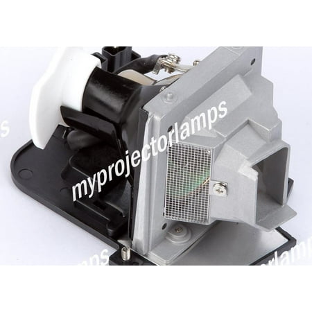 Kodak 807-3215 Projector Lamp with Module