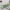 Green, variant on Sushi Dish Long Rectangle Dish And Cake Trays Plastic Platters For Party And Entertaining, Leodye Clearance Special Offers Rollback