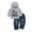 Grey, variant on Elippeo Infant Baby Boy Clothes Baby Boy 2PCS Outfits 6 12 18 24 Months 3 Years Letter Print Long Sleeve Hooded Tops Jeans Pants Set 6-9 Months Baby Boy Hoodie Outfits