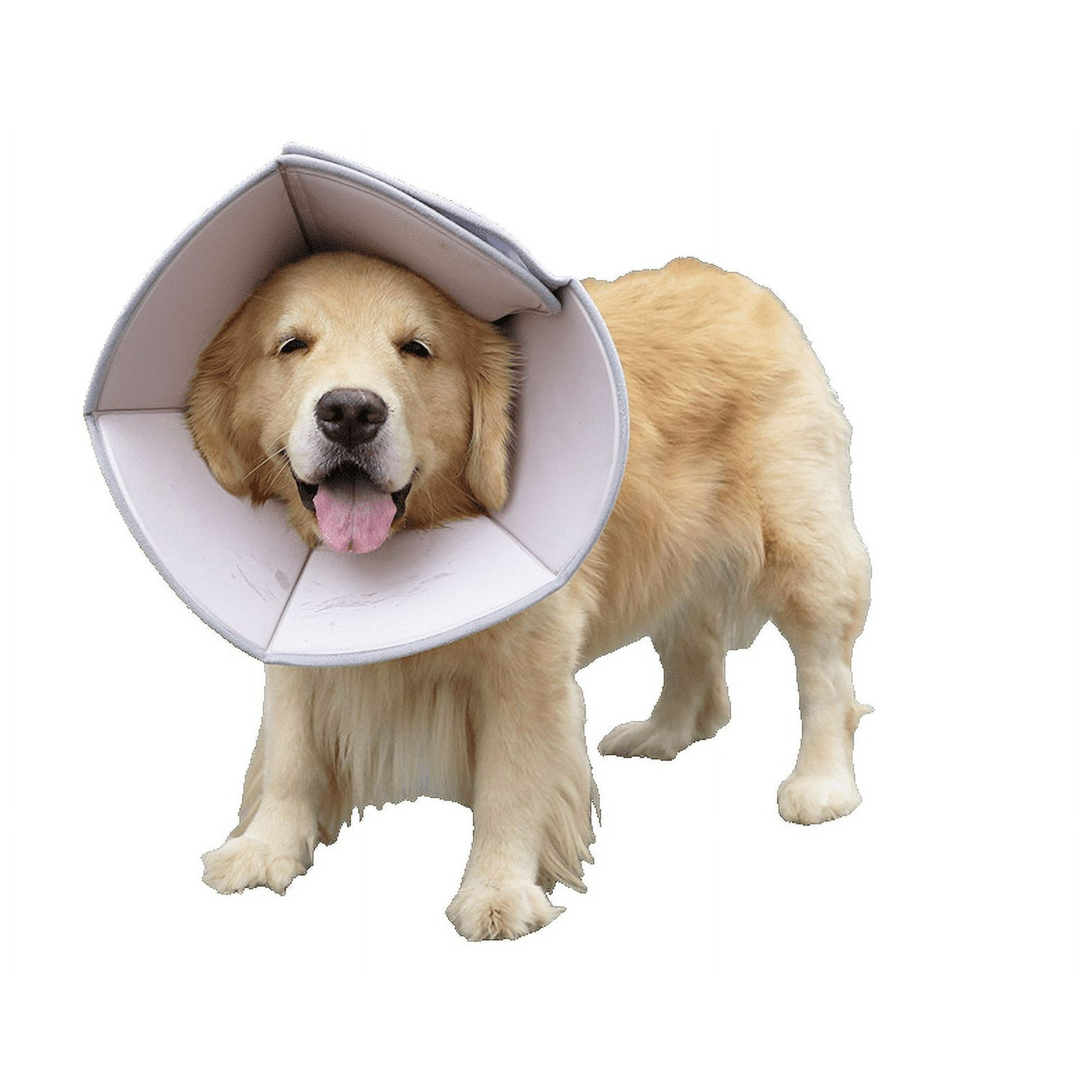 Dog protective head cone online