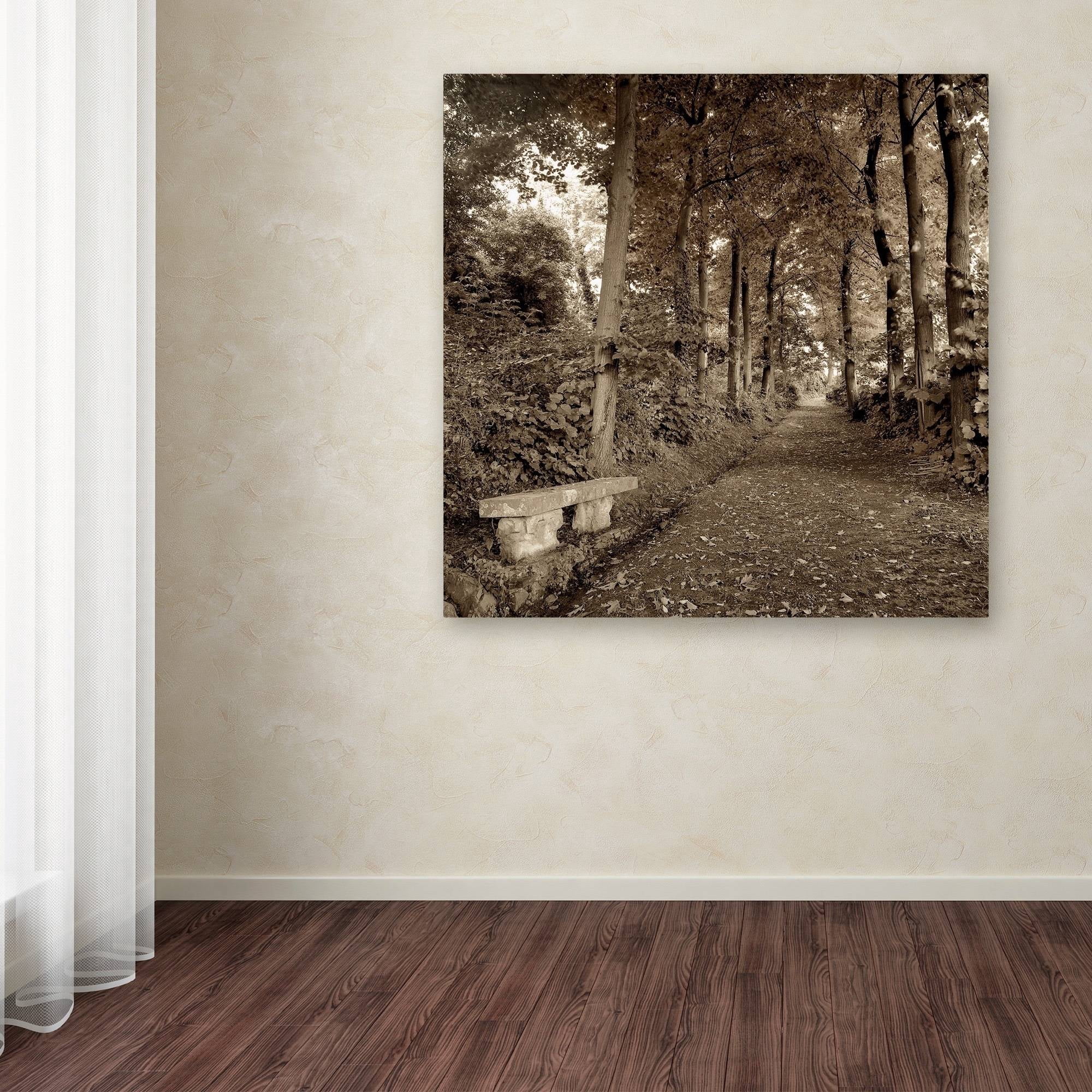 Trademark Fine Art "Fiesole Giardini II" Canvas Art by Alan Blaustein