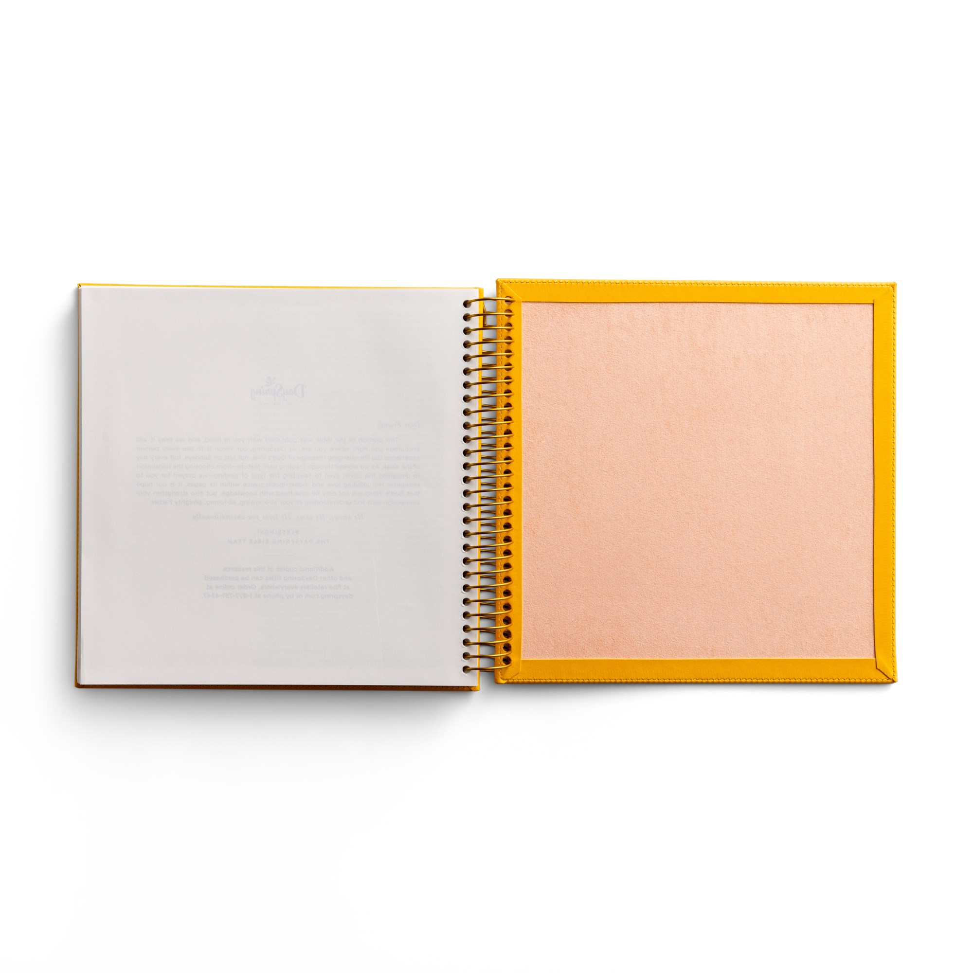 Illustrating Bible Niv: Genesis to Deuteronomy - Spiral Bound Bible Journal, (Spiral-Bound)