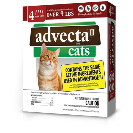 Advecta II Flea Treatment for Large Cat, 4 Monthly