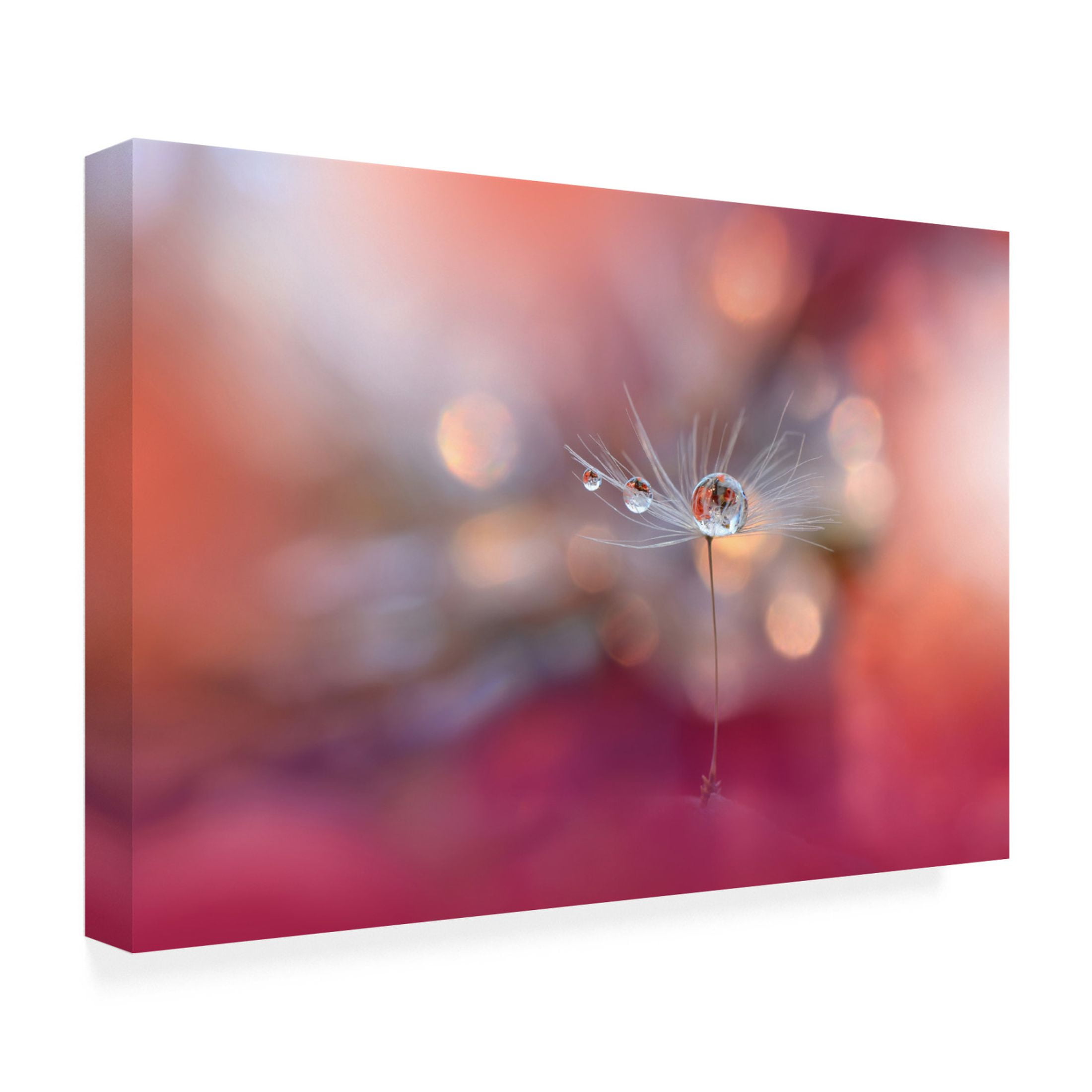 Trademark Fine Art Juliana Nan Colors of Love Canvas Wall Art