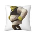 thumbnail image 1 of Fundas de almohada de terciopelo Shrek, fundas de almohada decorativas suaves y acogedoras con cremallera oculta para dormitorio, sofá, sillón, funda de almohada de terciopelo, 1 of 8