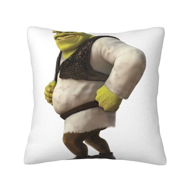Fundas de almohada de terciopelo Shrek, fundas de almohada decorativas suaves y acogedoras con cremallera oculta para dormitorio, sofá, sillón, funda de almohada de terciopelo