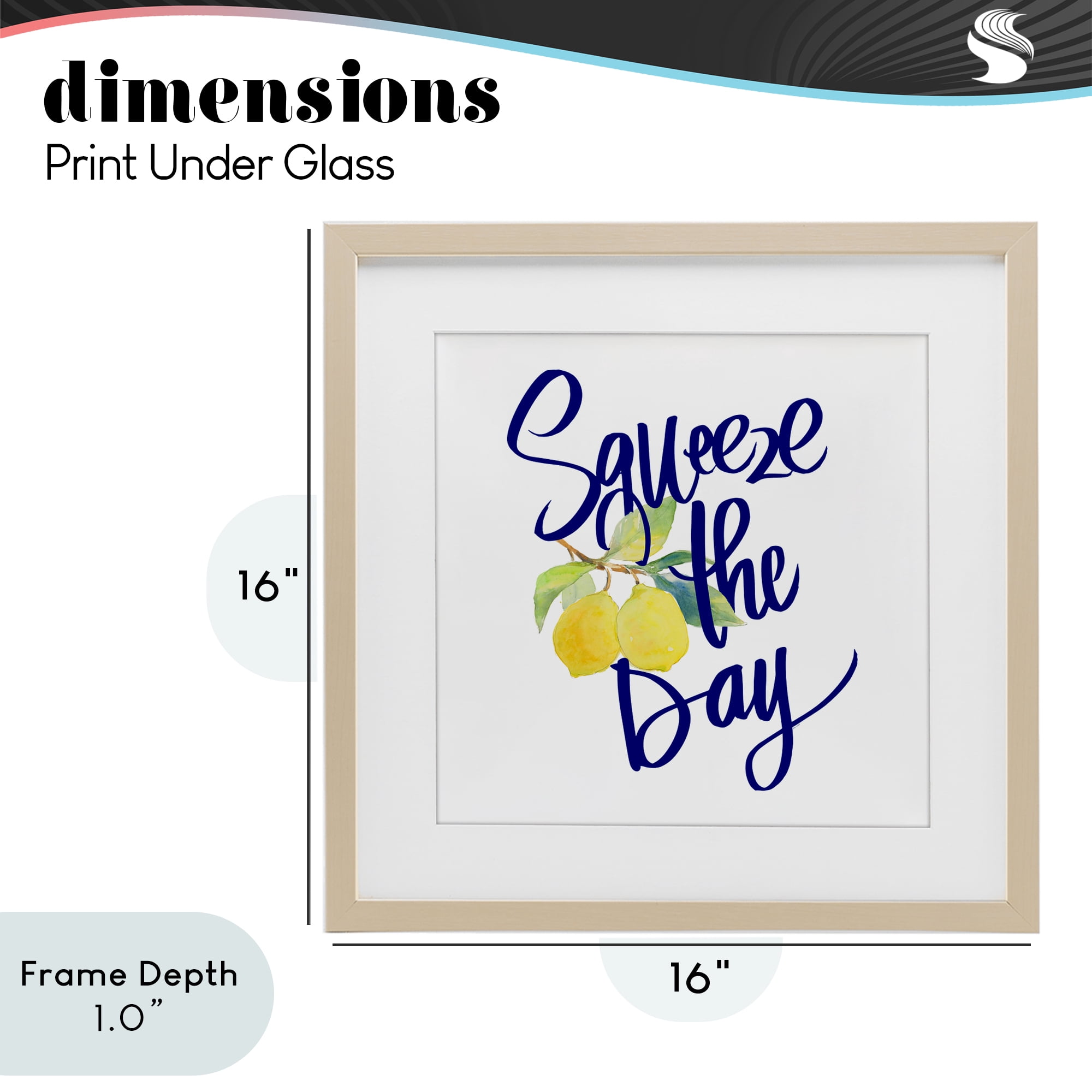 Stupell Industries Cursive Squeeze The Day Birch Framed Print Under Glass, design by Lanie Loreth