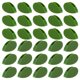 thumbnail image 1 of 30pcs Plant Climbing Wall Fixture Clips Self-adhesive Plant Wall Fixer Clip Invisible Leaf Shaped Vines Holder, 1 of 5