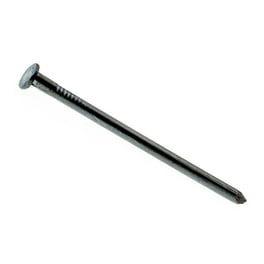 Grip-Rite 8D 2-1/2 in. Common Bright Steel Nail Flat Head 50 lb Grip-Rite 8D 2-1/2 in. Common Bright Steel Nail Flat Head 50 lb