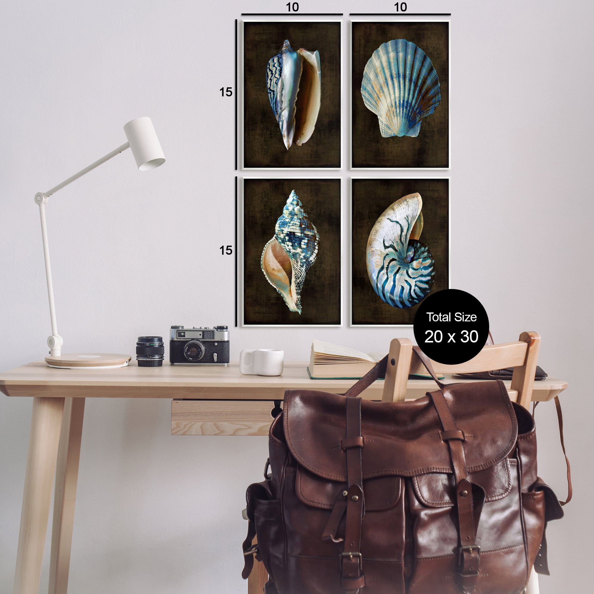 Stupell Industries Seashells on Black Animals & Insects Painting Unframed Art Print Wall Art, 10 x 15, Set of 4