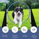 thumbnail image 3 of Set para el patio trasero de Dog Agility Course, artículos para el hogar con túnel y postes, 3 of 7