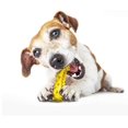 thumbnail image 3 of Lishi Yellow Toothbrush Toy for Aggressive Chewers, 3 of 5